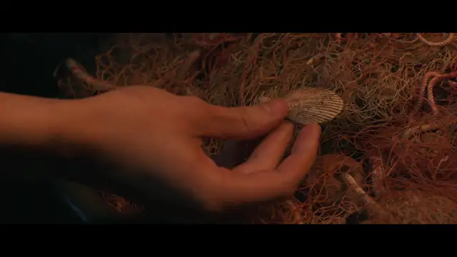 La vita va così - 6.5⭐IMDb 2025 - هكذا تسير الحياة